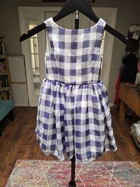 Blue Gingham Dress